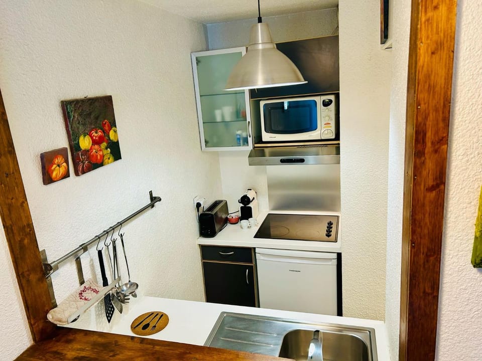 Appt cosy au centre de Chamonix Apartment in Chamonix