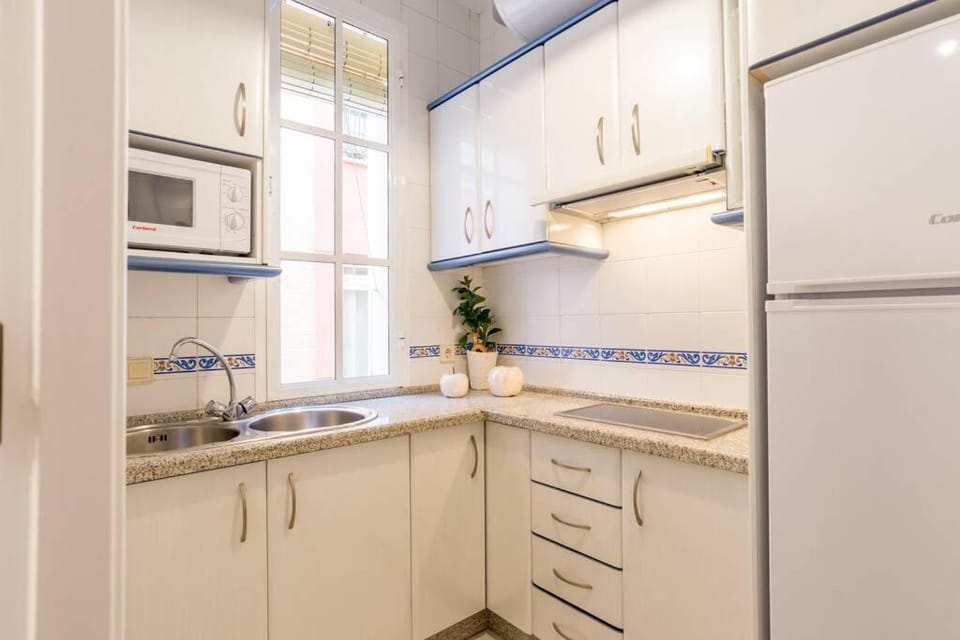 TGH/ Málaga Centro Carretería Apartment in Malaga