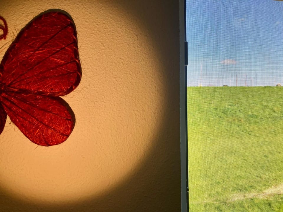 View (from property/room)
