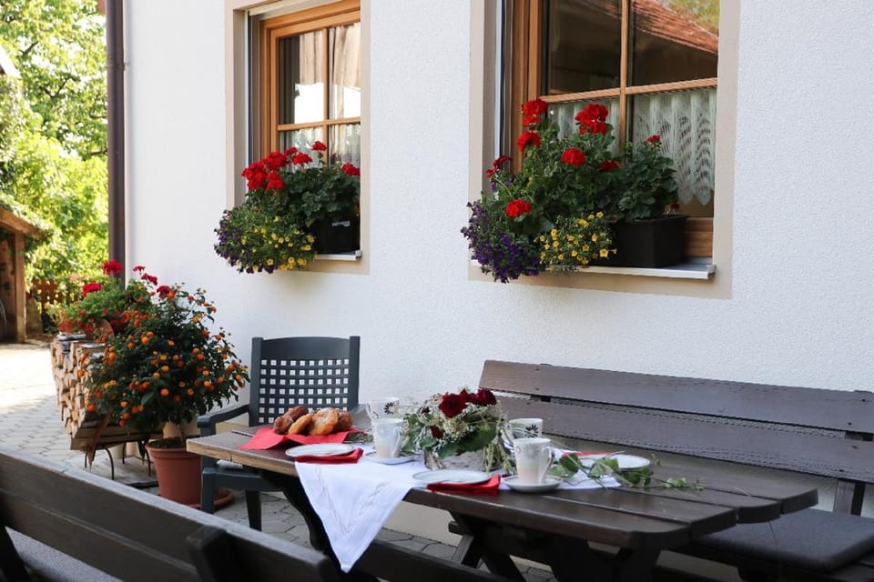 Patio, Breakfast