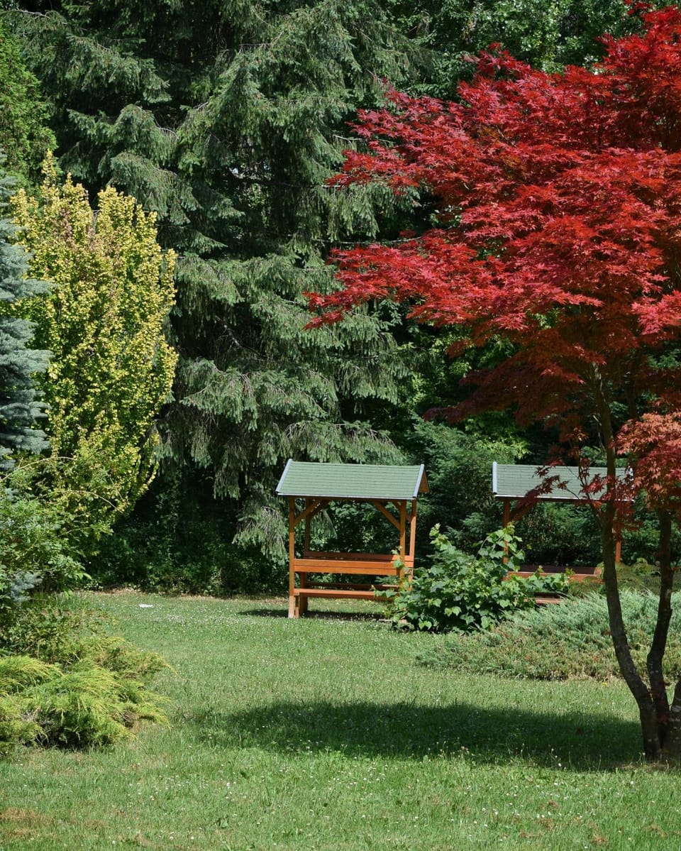 Garden, Garden view