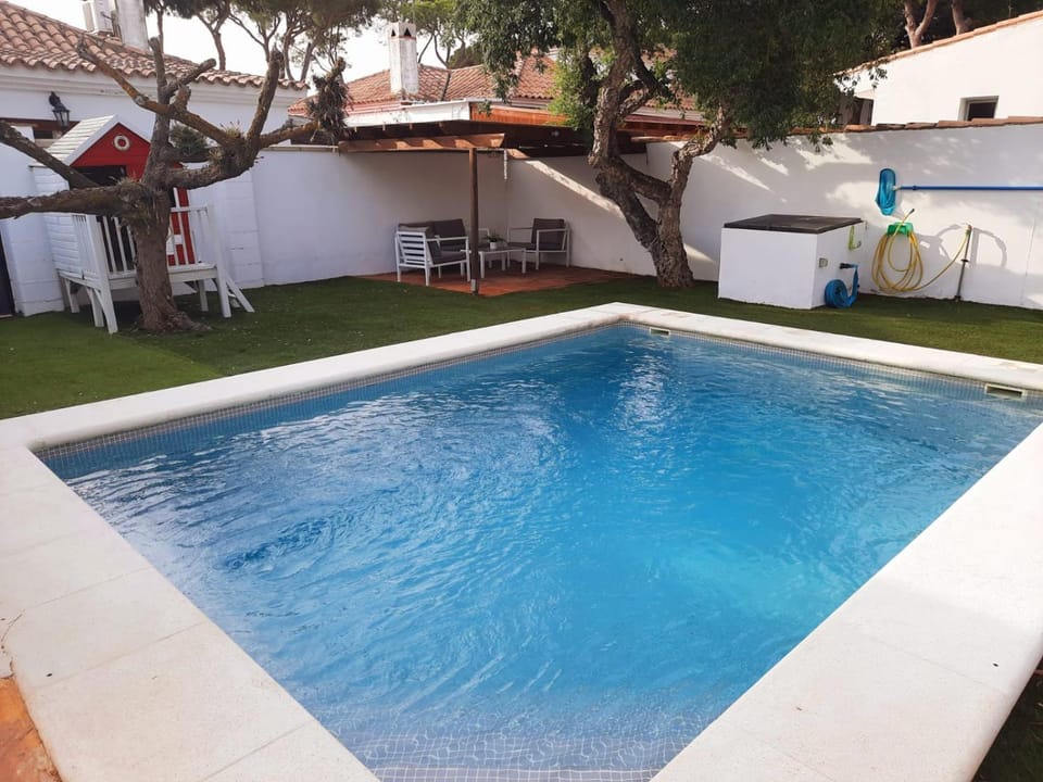 Day, Pool view, Swimming pool, sunbed