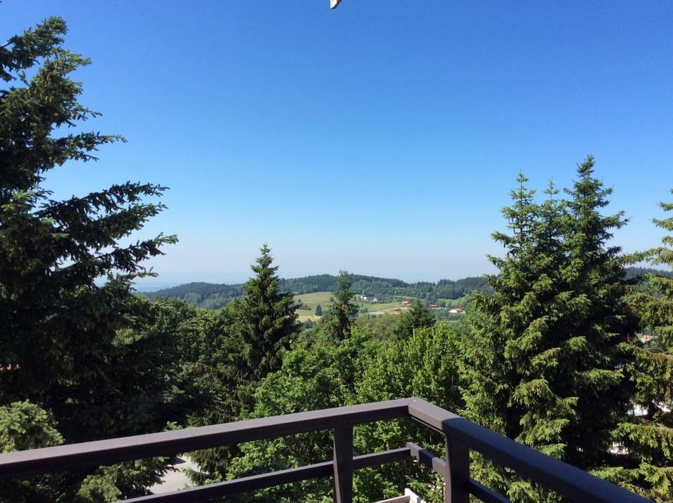 Balcony/Terrace, Mountain view