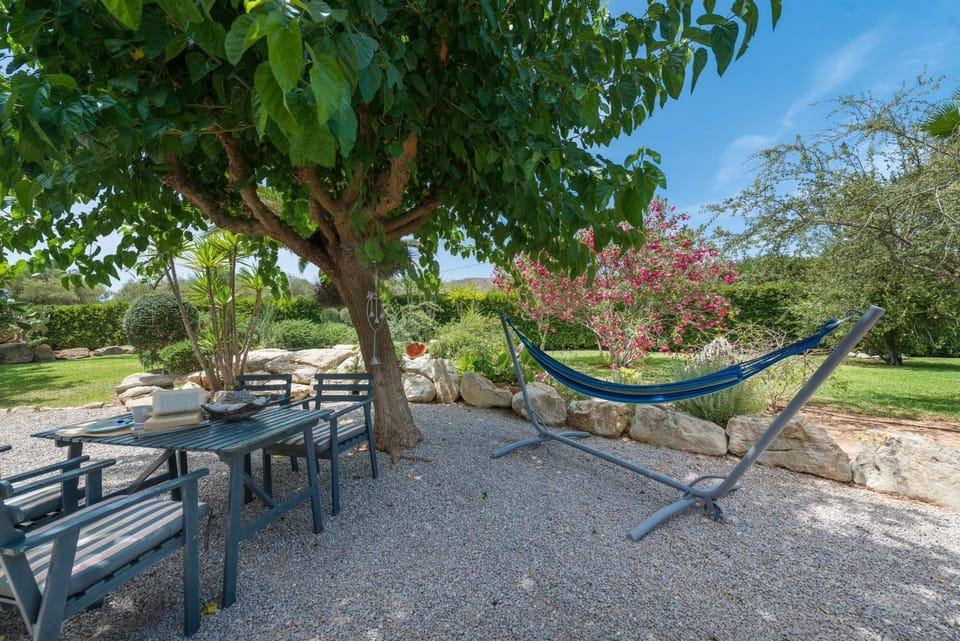 Activities, Balcony/Terrace
