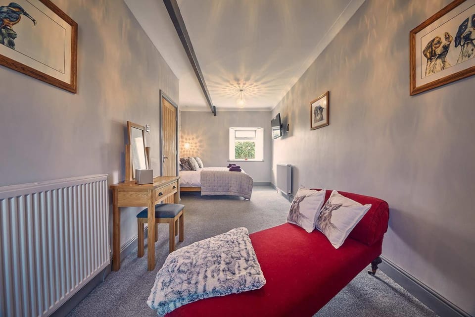 Bed, Seating area, Bedroom, internet