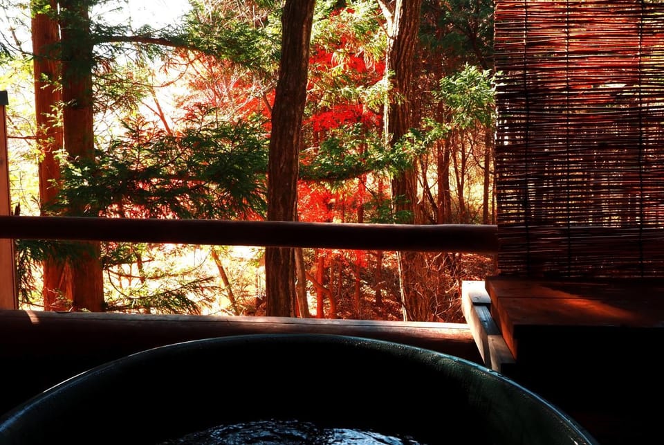Gableview Forest Inn ゲーブルビュー Bed and Breakfast in Japan