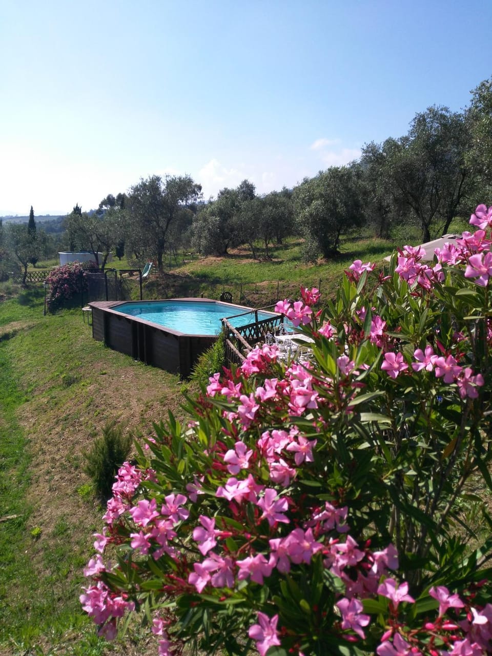 Swimming pool, Swimming pool