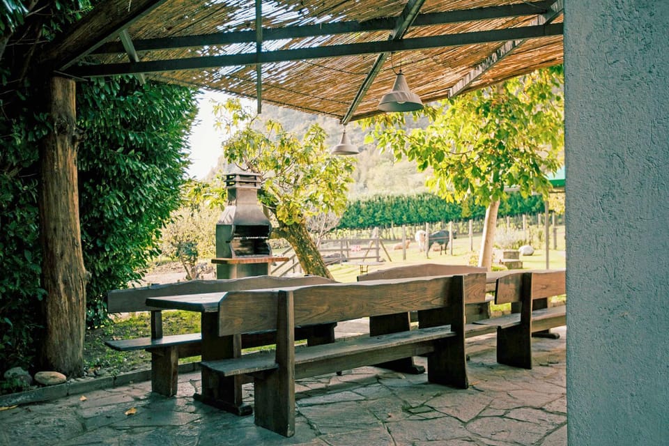 Patio, Seating area