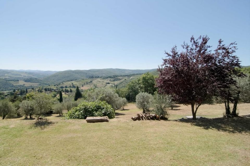 Natural landscape, Garden