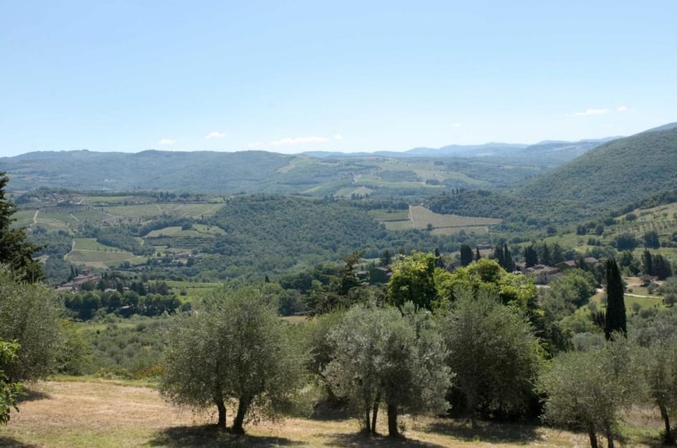 Natural landscape, View (from property/room)