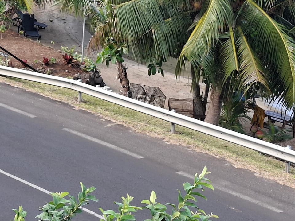 Tehuarupe Surf Studio 2 Bed and Breakfast in Moorea-Maiao