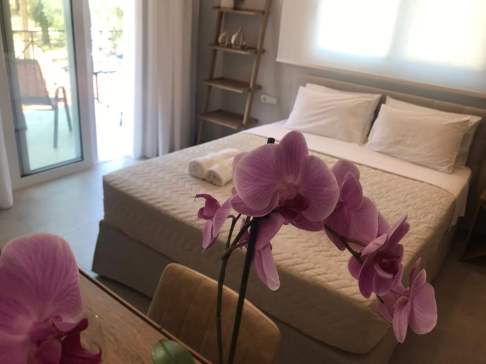Dokos D Studios Apartment in Peloponnese, Western Greece and the Ionian