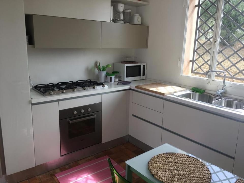 Kitchen or kitchenette, dishwasher, stove