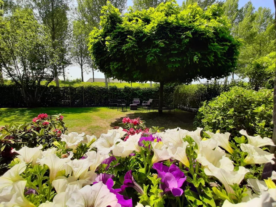 Garden, Garden view