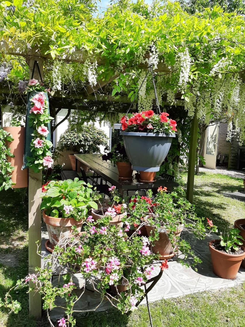 Garden view