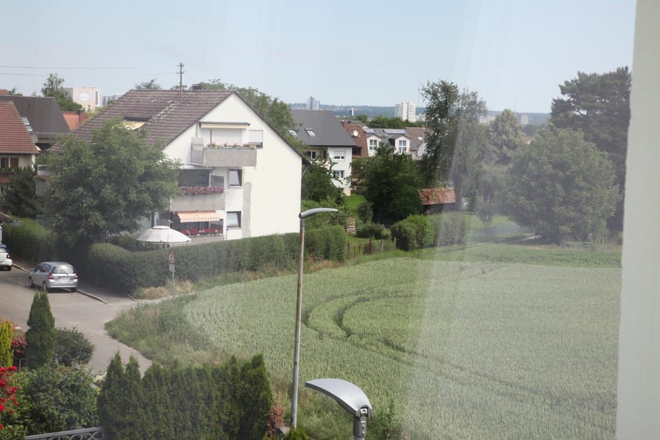Natural landscape, Street view
