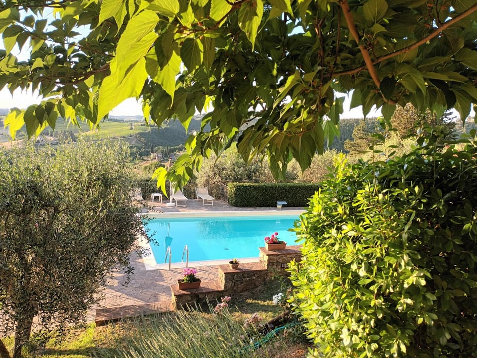 Pool view, Swimming pool