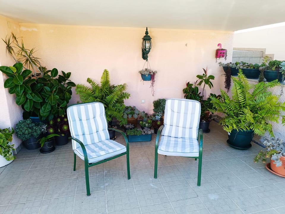 Caroça House House in Nazaré