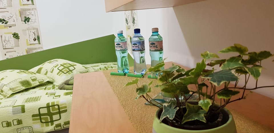 Green Apartman Apartment in Romania