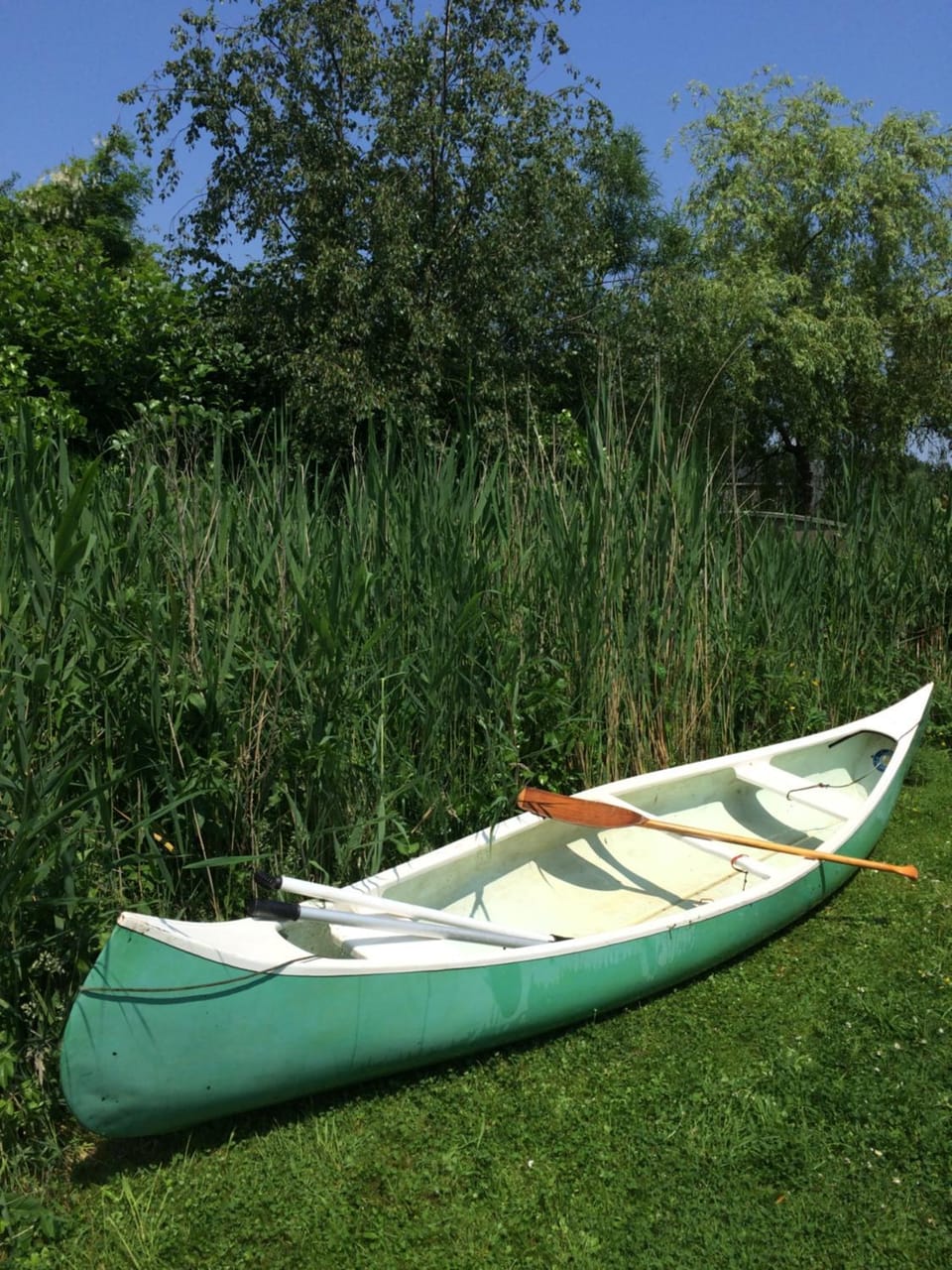 Gipsy wagon near Amsterdam and beach Nature lodge in Haarlem