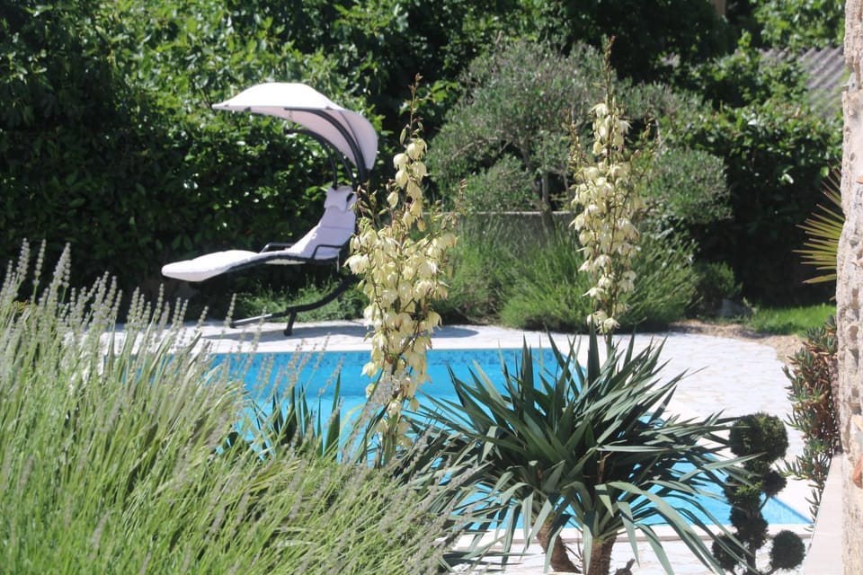Garden, Garden view, Swimming pool