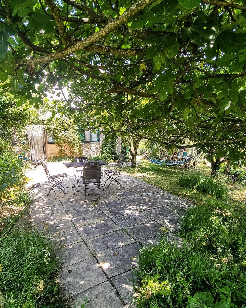 Quinta Sarnadela - Spacious 3 bedroom house with in beautiful gardens House in Coimbra District, Portugal