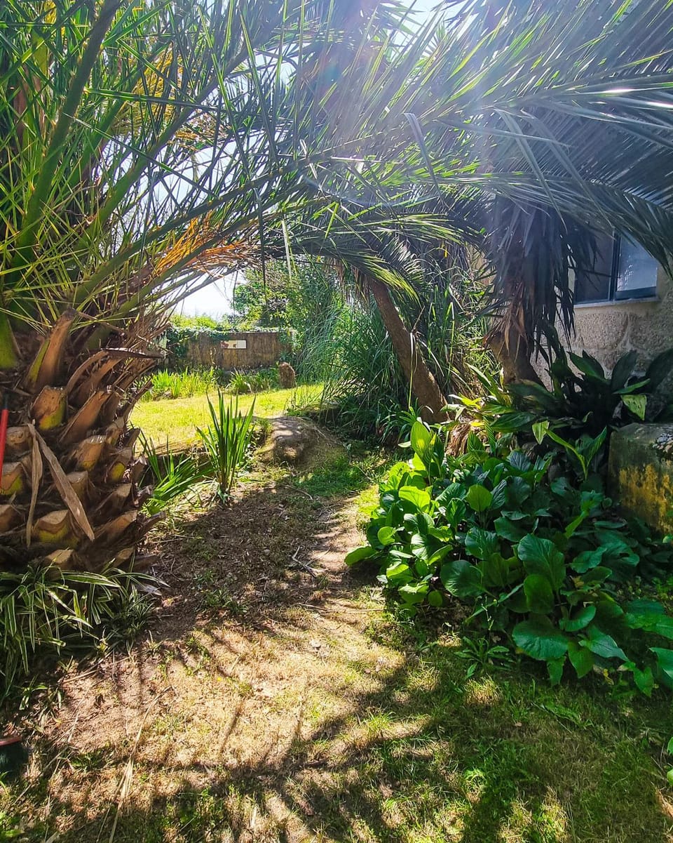 Quinta Sarnadela - Spacious 3 bedroom house with in beautiful gardens House in Coimbra District, Portugal