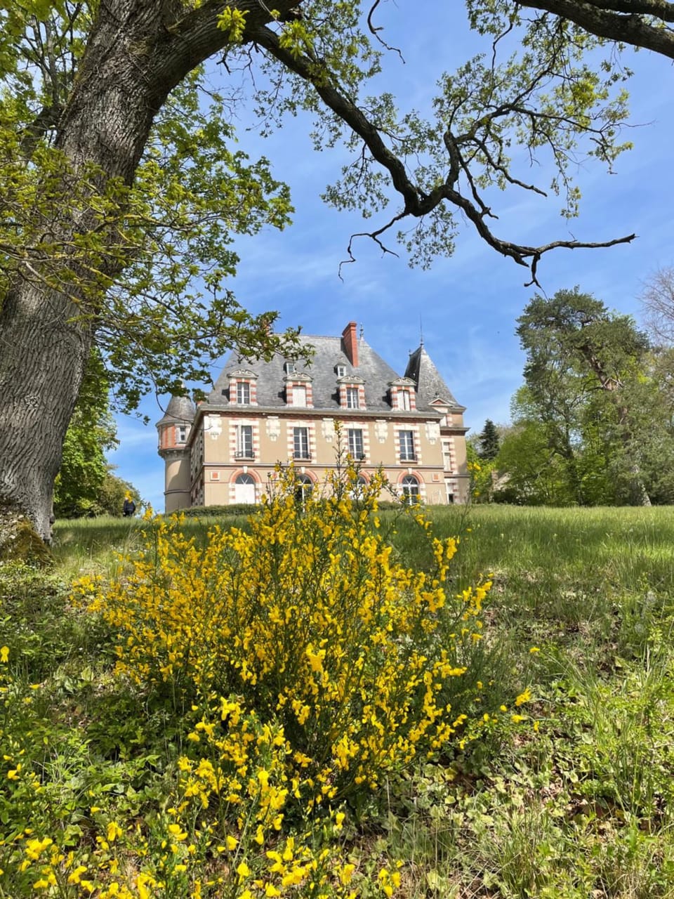 Property building, Spring, Day, Natural landscape, Garden, Garden view