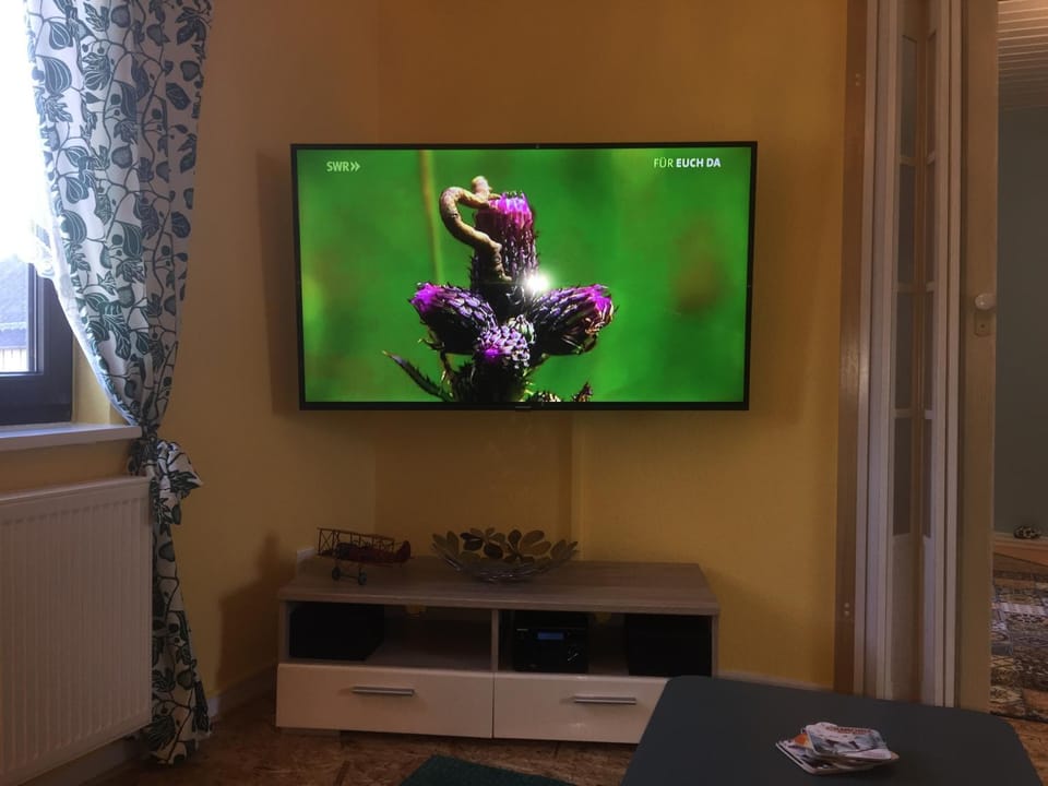 TV and multimedia