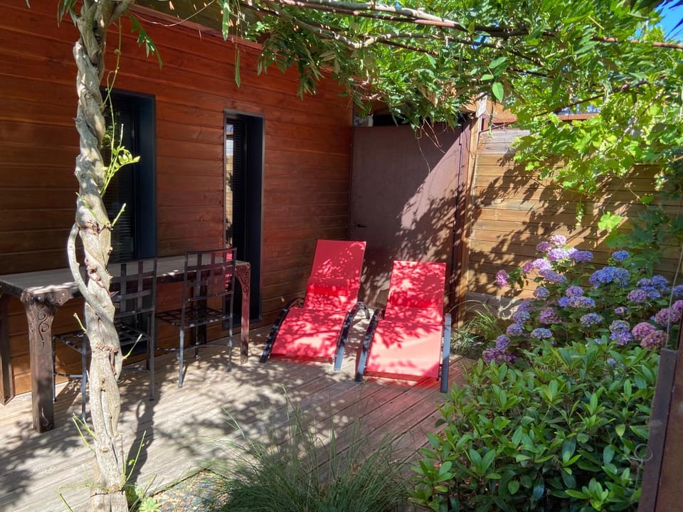 Patio, sunbed