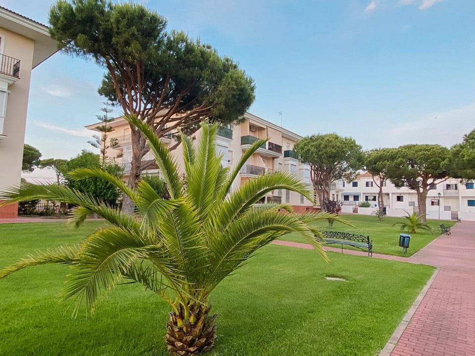 Property building, Garden, Garden view