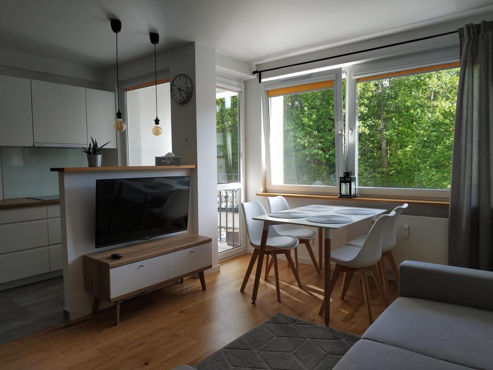 Apartament Śródmieście Apartment in Pomeranian Voivodeship