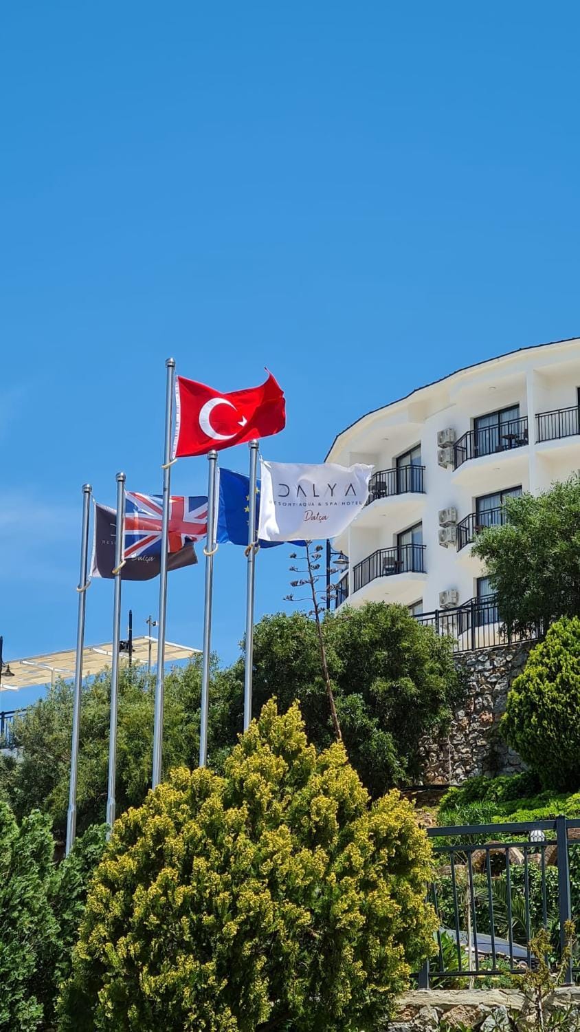 Property building, Day