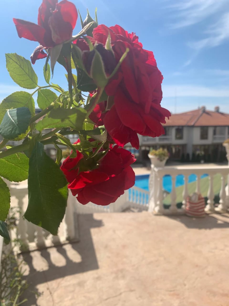 Pool view