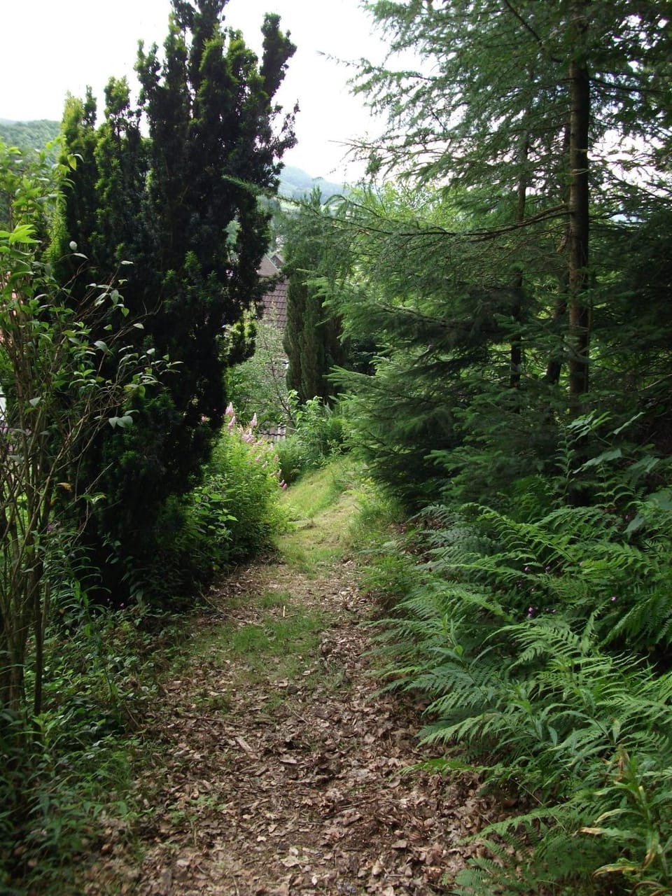 En Raußel Apartment in Rhineland-Palatinate
