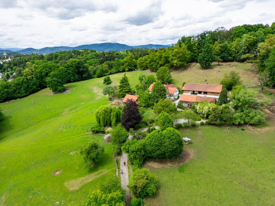 Property building, Natural landscape, Bird's eye view