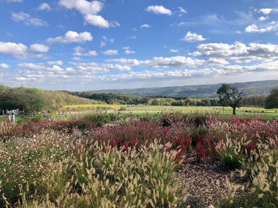 View (from property/room), Garden view