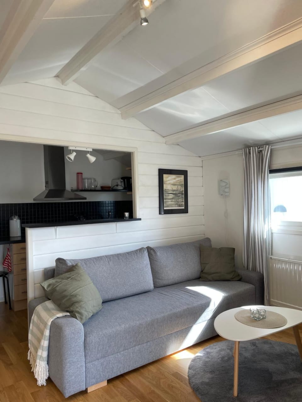Stuga Skrea strand House in Denmark
