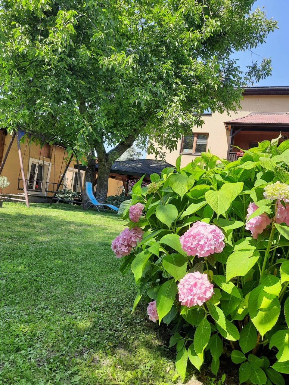 Apartament Nałęczów dom pod orzechami Apartment in Masovian Voivodeship