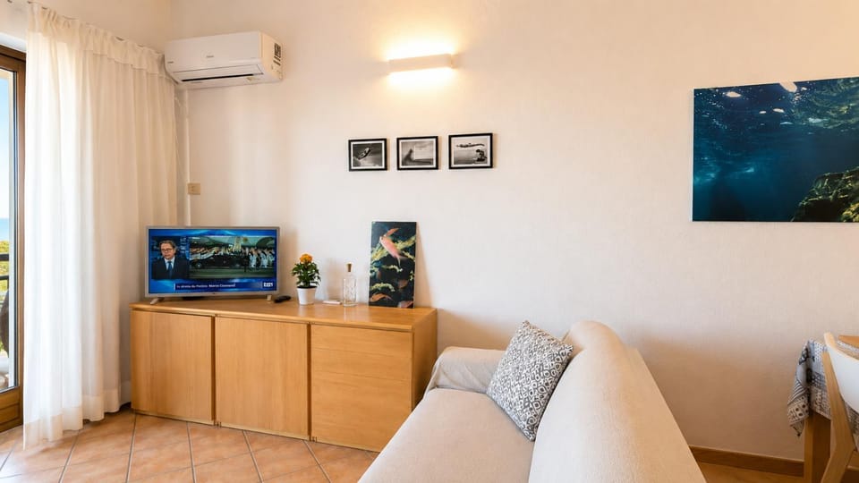 TV and multimedia, air conditioner