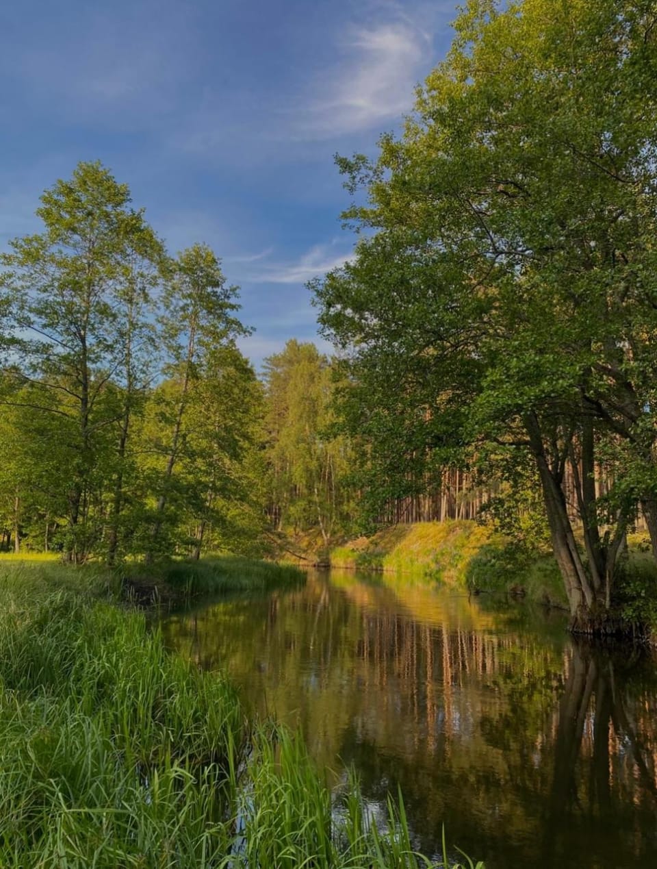 DOM POD STRZECHĄ, NAD RZEKĄ - 200m2 House in Pomeranian Voivodeship