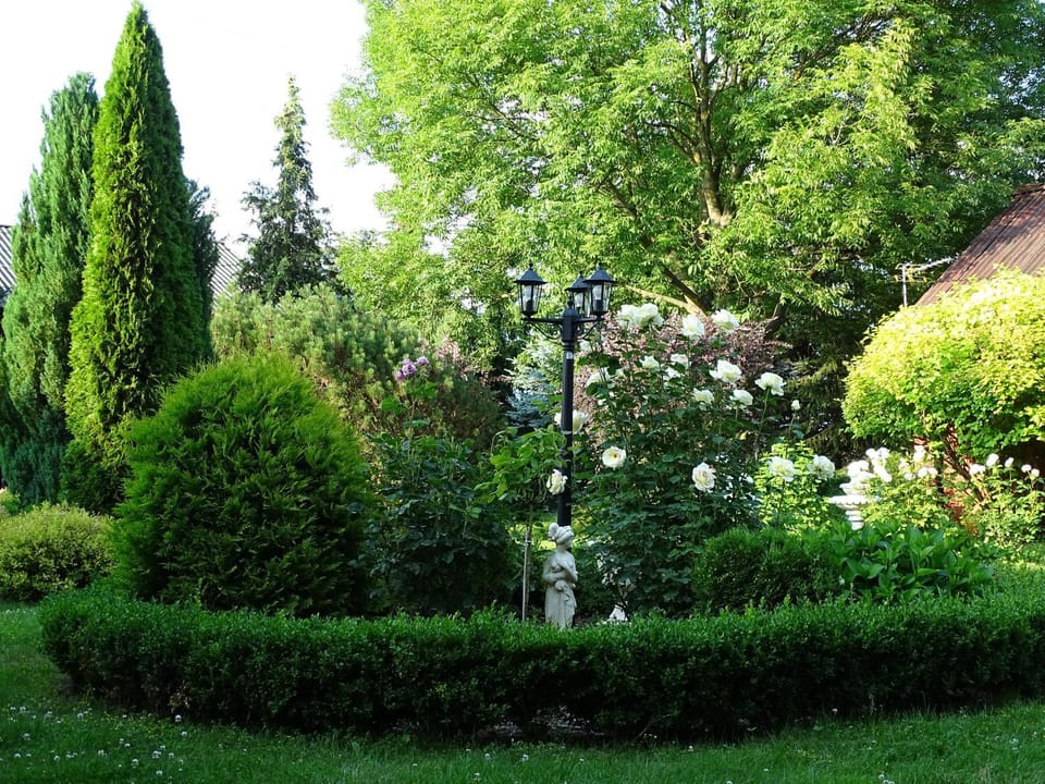 Natural landscape, Garden, Garden view