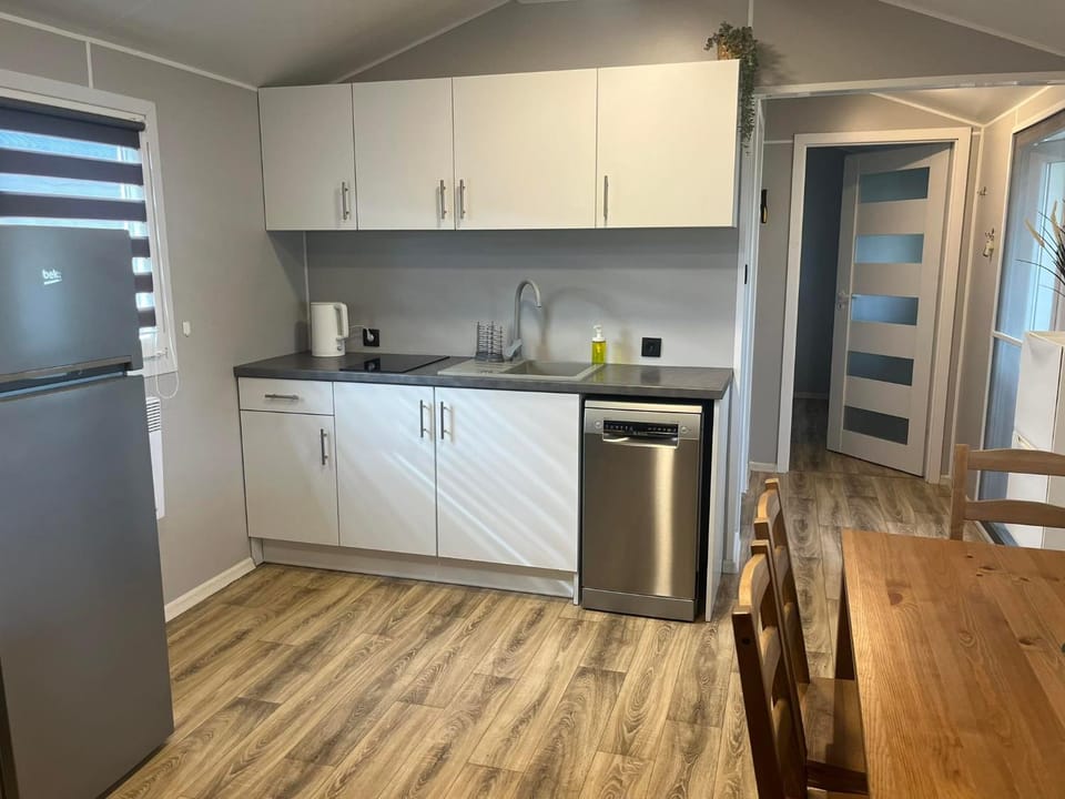 Kitchen or kitchenette, Dining area, dishwasher