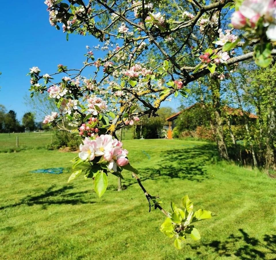 Garden, Garden view
