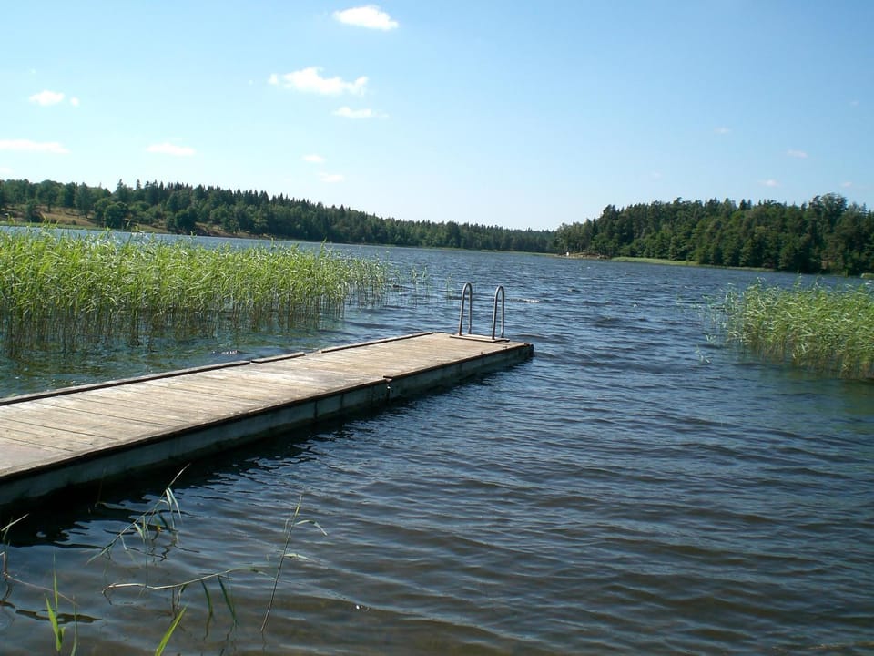 Lake view