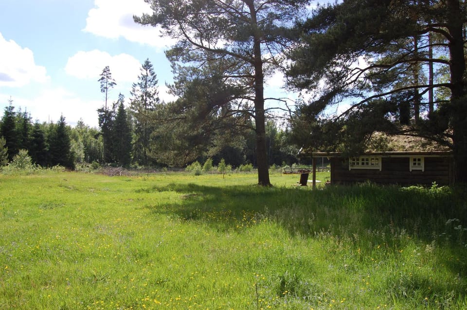 Natural landscape, Garden