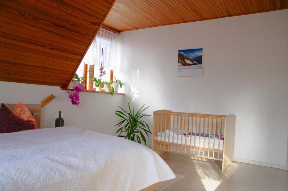 Haus Strandlöper Apartment in Mecklenburg-Vorpommern, Germany