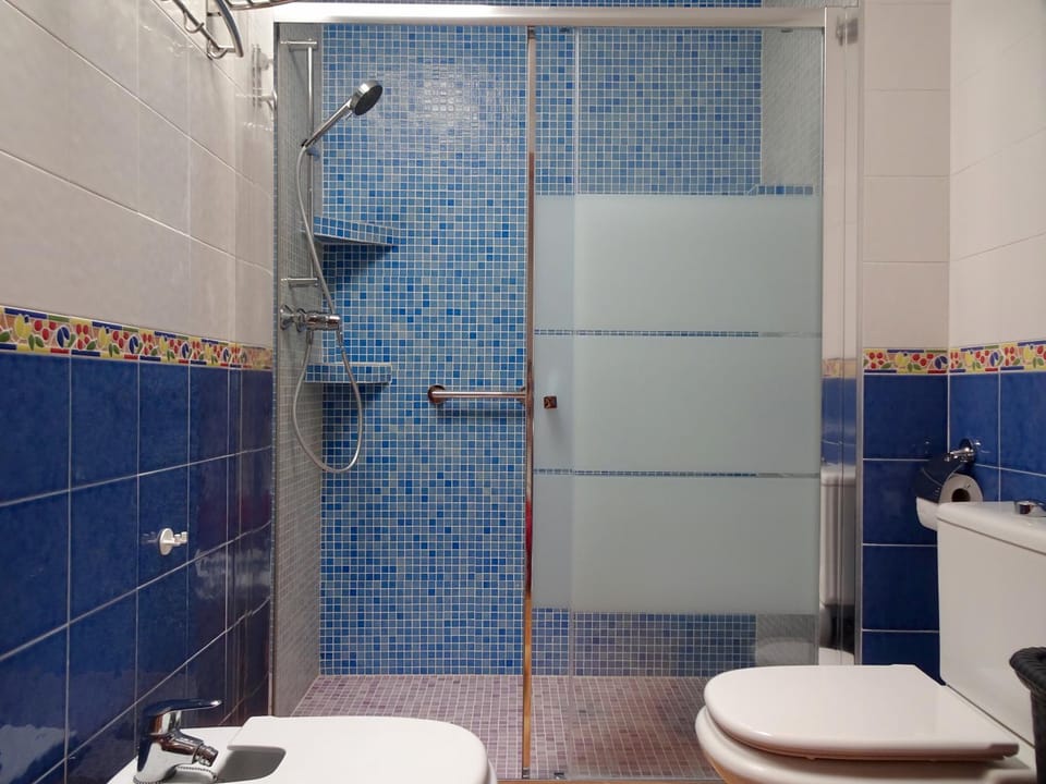 Shower, Toilet, Bathroom, bidet