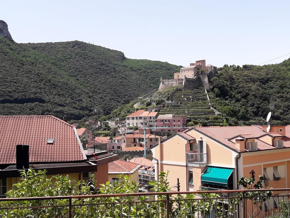 Neighbourhood, Natural landscape, City view, Mountain view