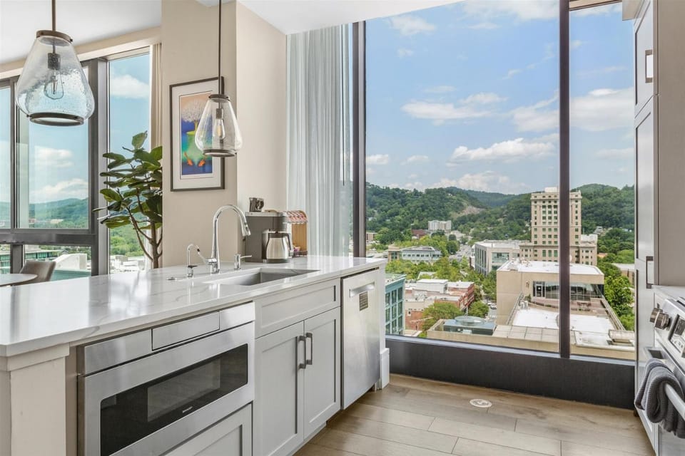 Day, Natural landscape, View (from property/room), Kitchen or kitchenette, City view, Mountain view, dishwasher, pet friendly, stove